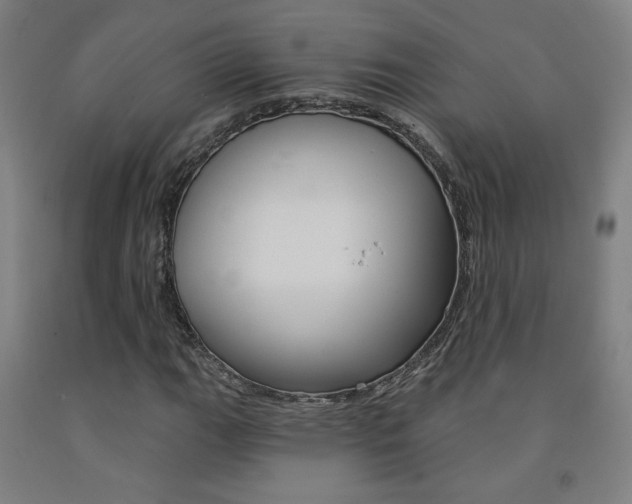 X0000093131111200709261029