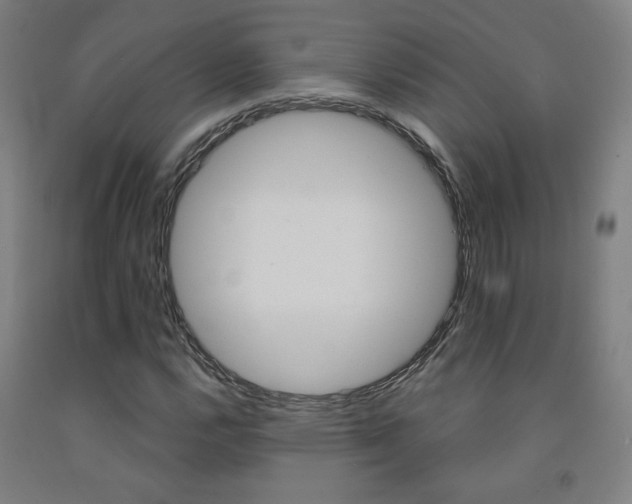 X0000093131112200709261029