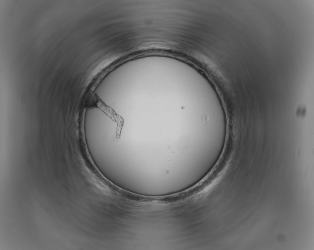 X0000093131113200709261029