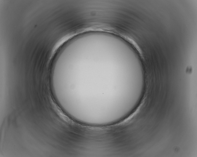 X0000093131114200709261029