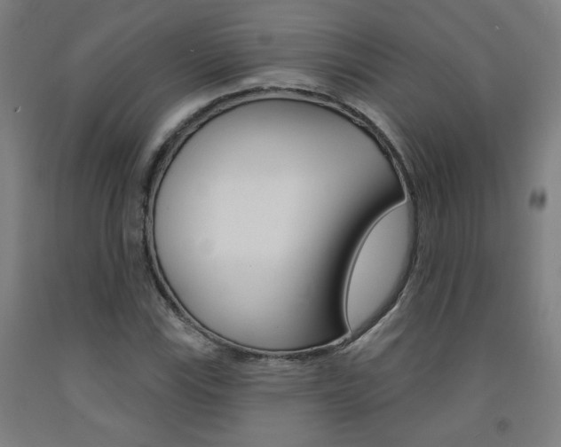 X0000093131115200709261029