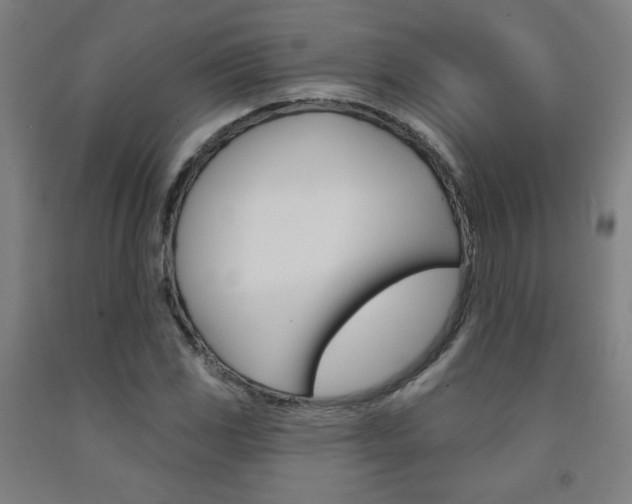 X0000093131117200709261030