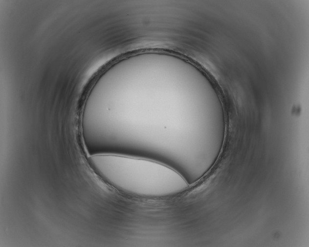 X0000093131119200709261030