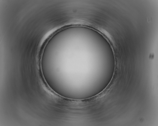 X0000093131120200709261030