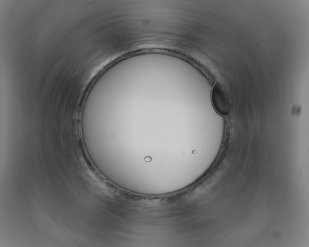 X0000093131121200709261030