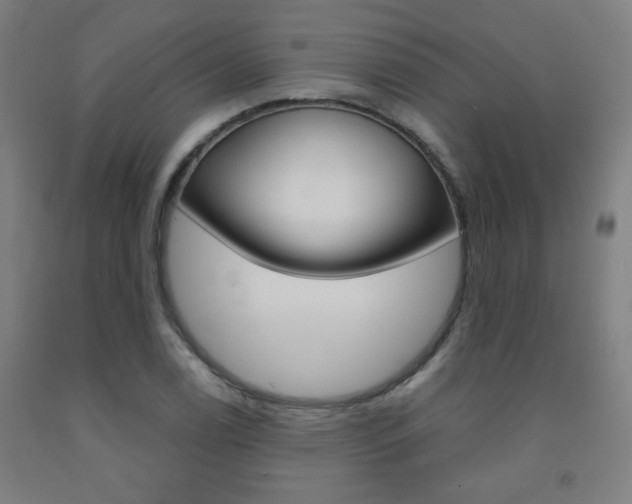 X0000093131122200709261030