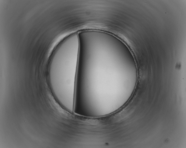 X0000093131123200709261030