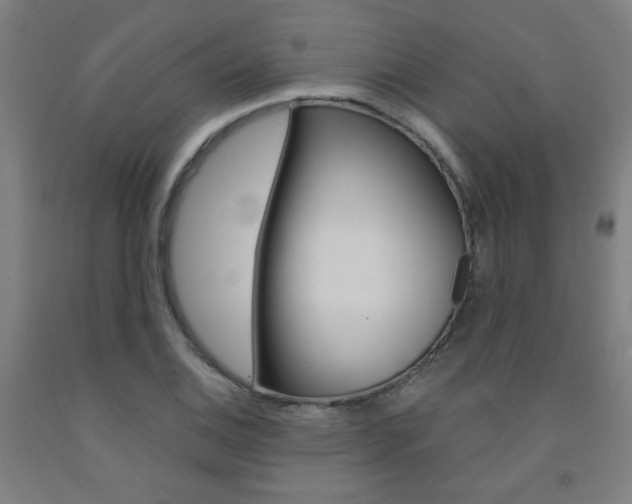 X0000093131124200709261030