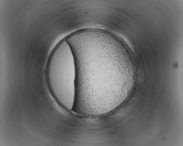X0000093131125200709261030