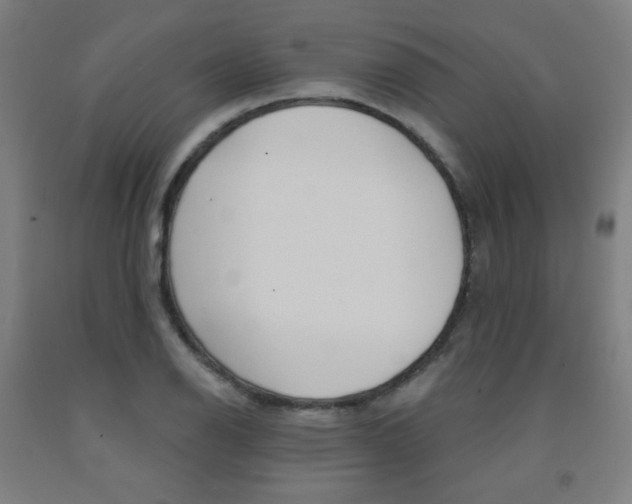 X0000093131126200709261030