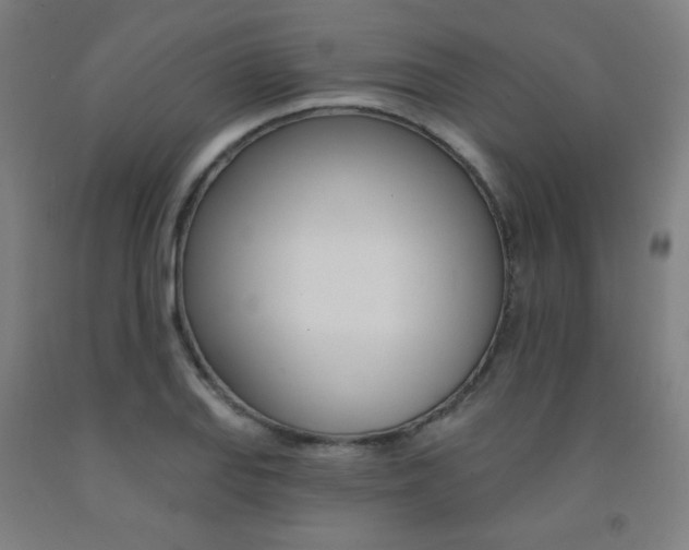 X0000093131127200709261030