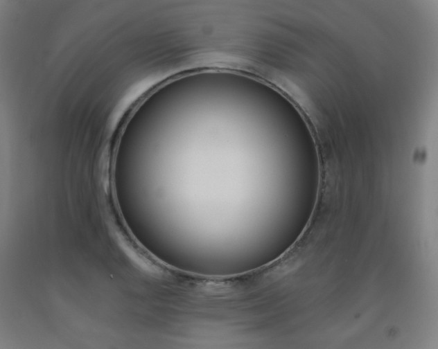 X0000093131128200709261030