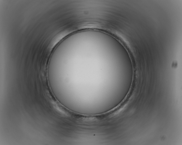 X0000093131129200709261030