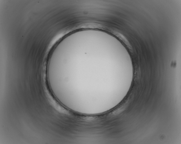 X0000093131130200709261030
