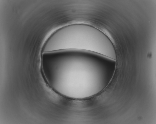 X0000093131132200709261030