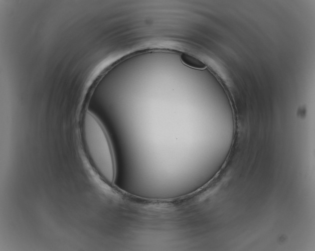 X0000093131133200709261030