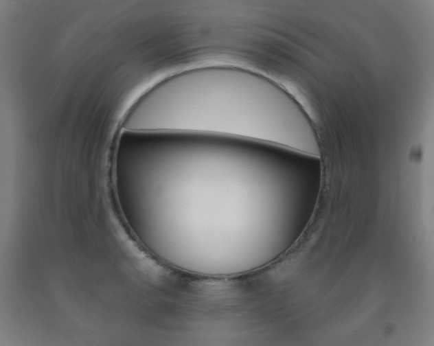 X0000093131134200709261030