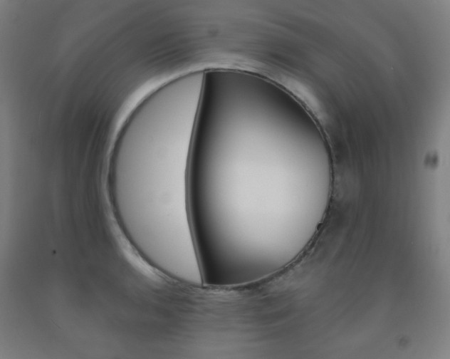 X0000093131136200709261030