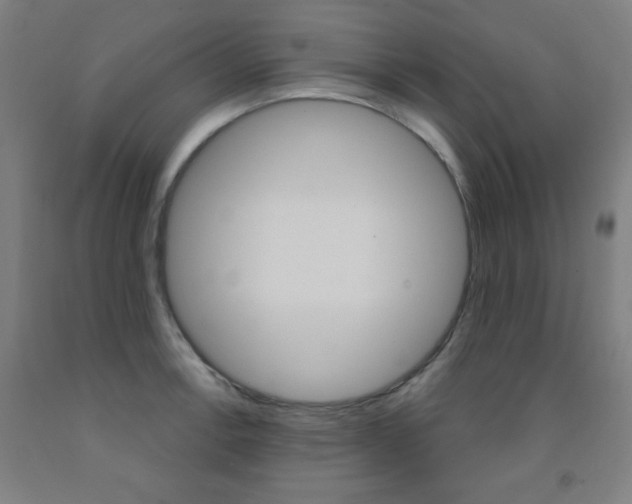X0000093131138200709261030
