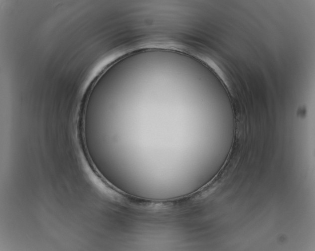 X0000093131139200709261030