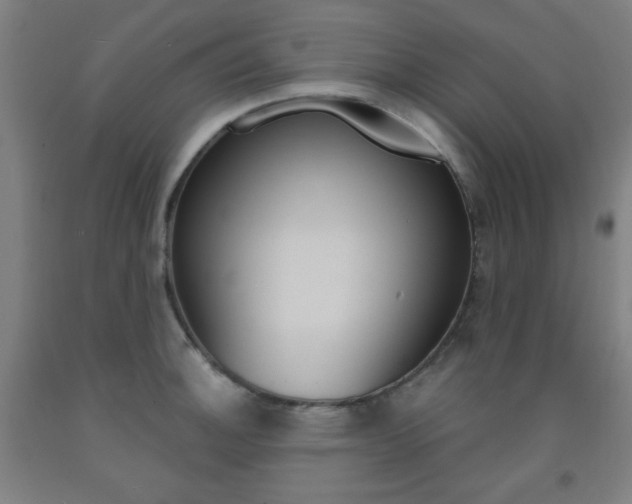 X0000093131140200709261030