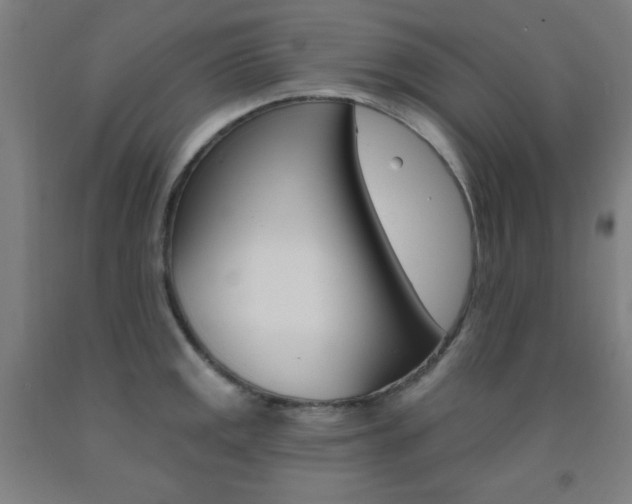 X0000093131141200709261030