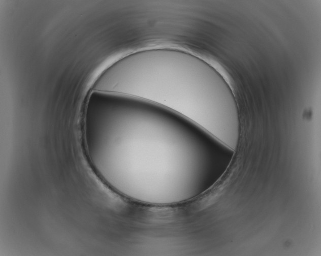X0000093131142200709261030