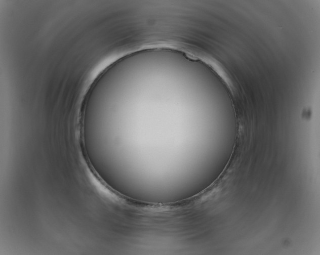 X0000093131143200709261030