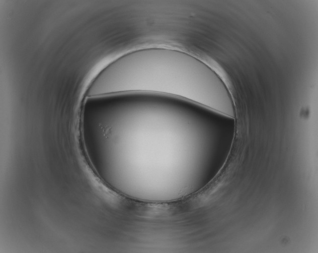 X0000093131144200709261030