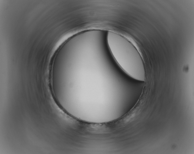 X0000093131147200709261030