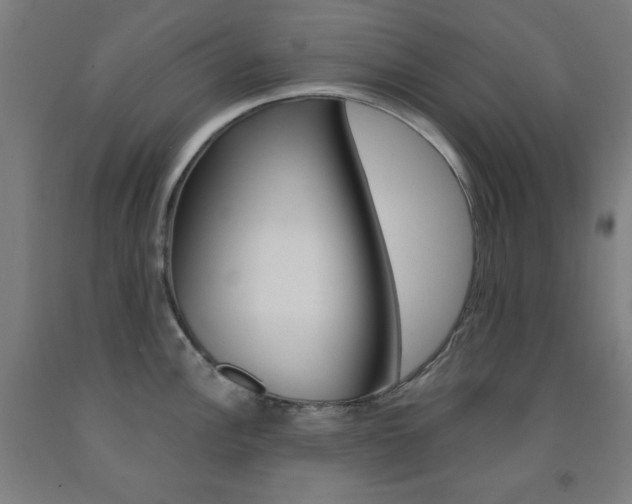 X0000093131148200709261030