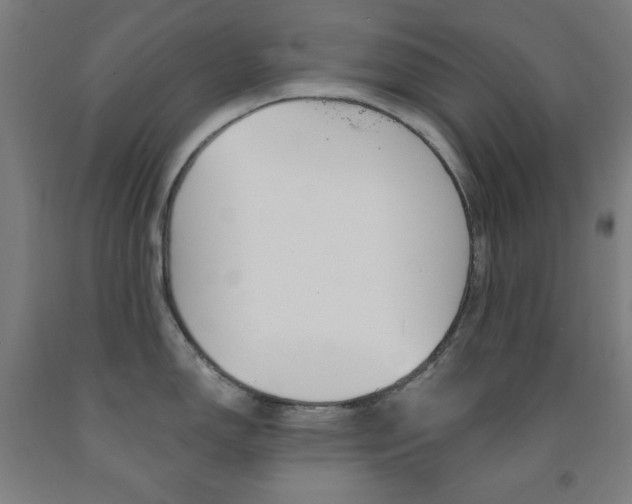 X0000093131150200709261030