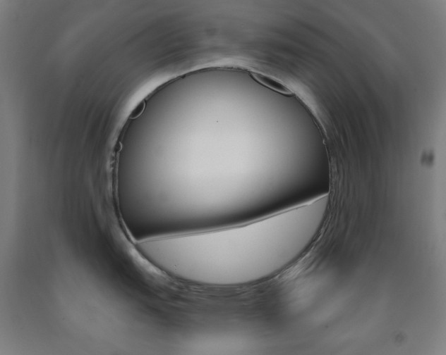 X0000093131151200709261030