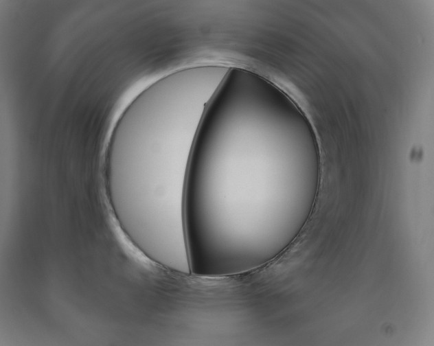 X0000093131152200709261030