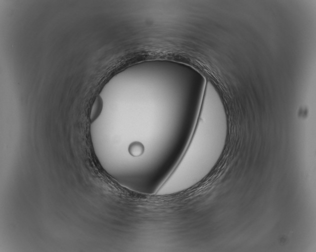 X0000093131153200709261029