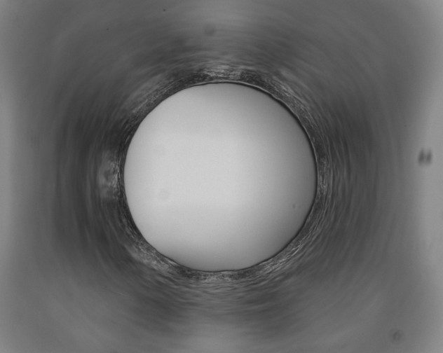 X0000093131154200709261029