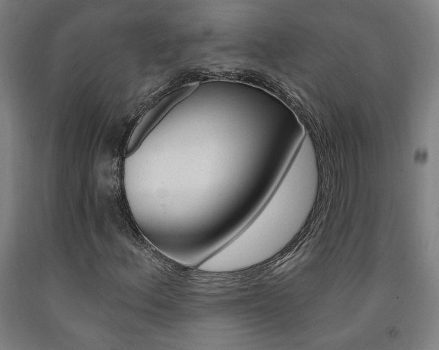 X0000093131156200709261029