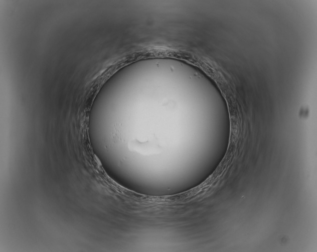 X0000093131157200709261029