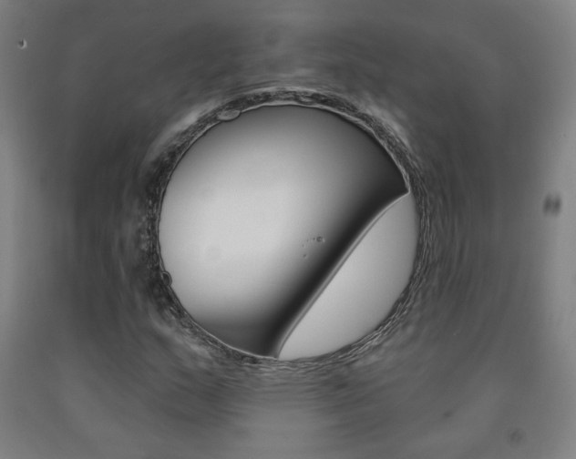 X0000093131159200709261029