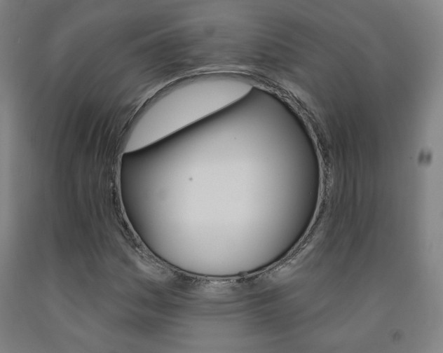 X0000093131161200709261029