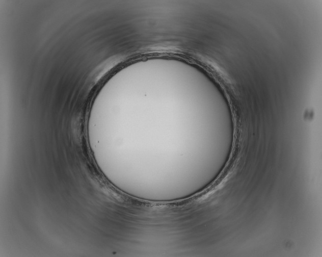 X0000093131162200709261029