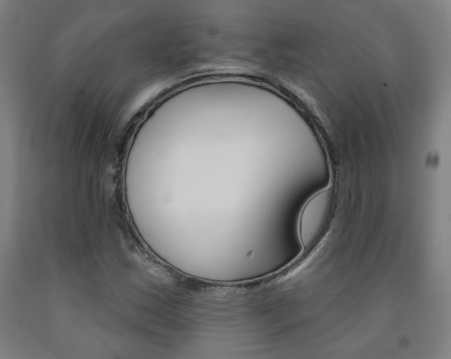 X0000093131163200709261029