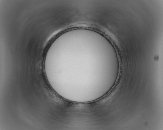 X0000093131166200709261029