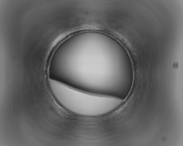 X0000093131168200709261029
