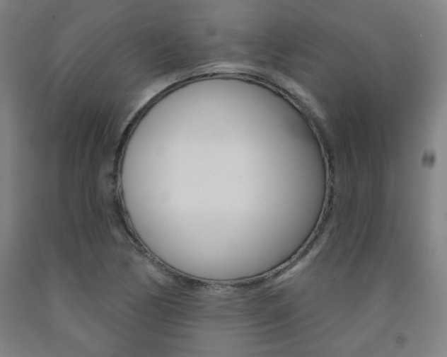 X0000093131170200709261029