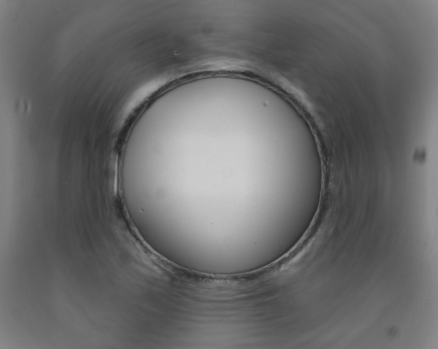 X0000093131171200709261029