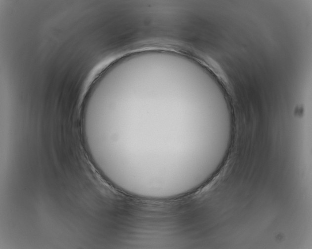 X0000093131172200709261029