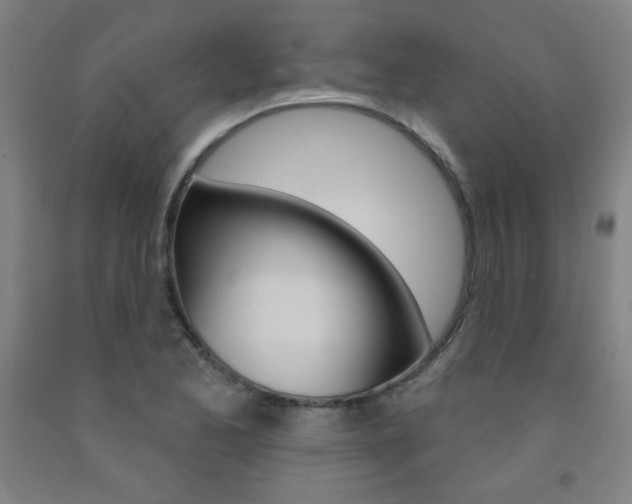 X0000093131173200709261029