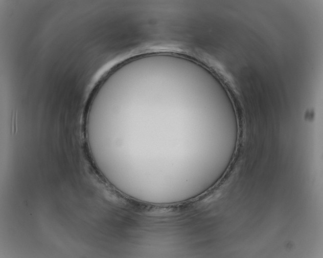 X0000093131174200709261029
