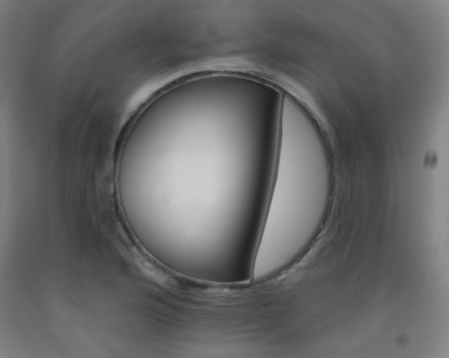X0000093131176200709261029
